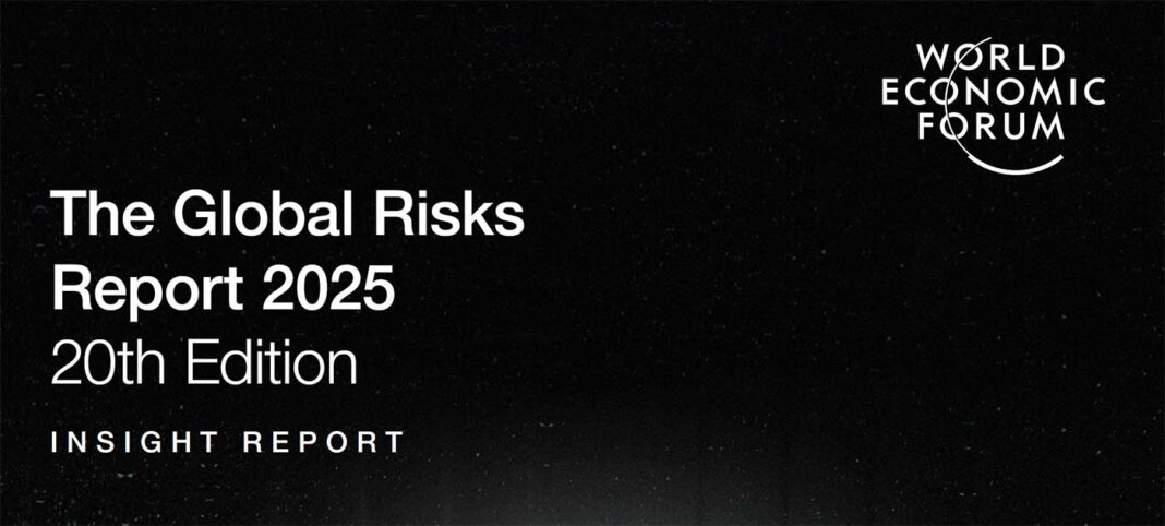 Global_Risks_Report_2025