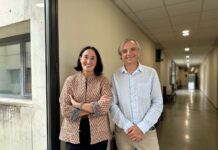 El uso de ChatGPT se asocia con una mayor difusión de información falsa entre los jóvenes, según un estudio
